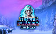 Arctic Enchantress