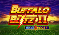 Buffalo Blitz 2