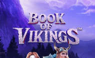 Book of Vikings