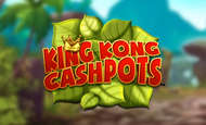 King Kong Cashpots