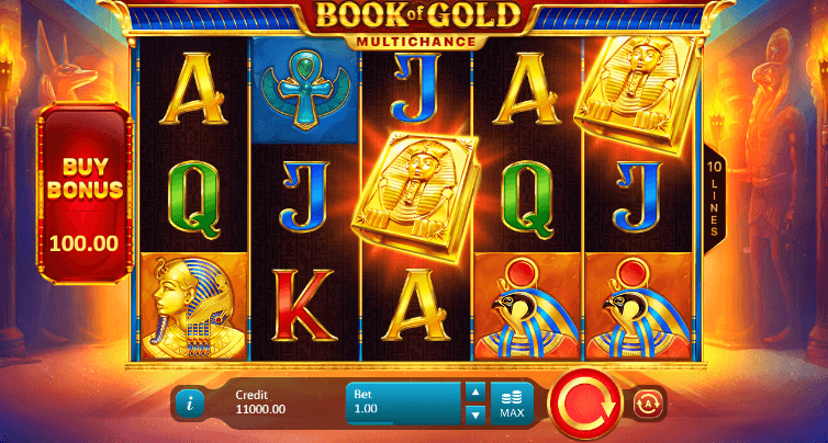 Book of Gold Multichance Slot Bonus