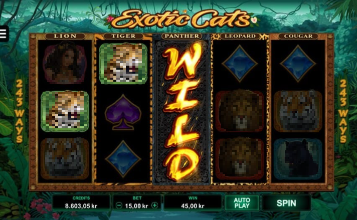 Exotic Cats Slot Gameplay