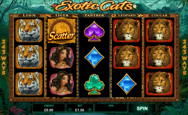 Exotic Cats Slot Gameplay