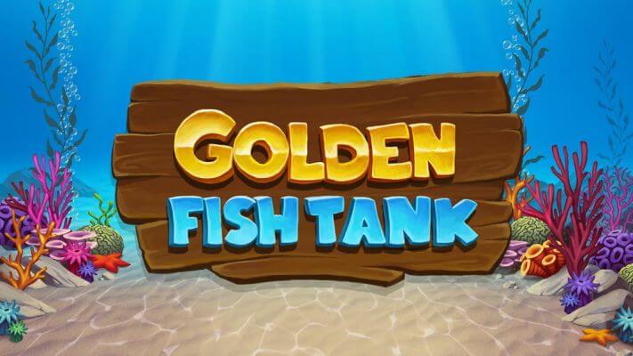 Golden Fish Tank Reviews