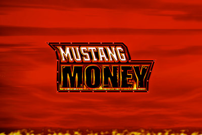 Mustang Money Review
