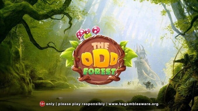The Odd Forest Review