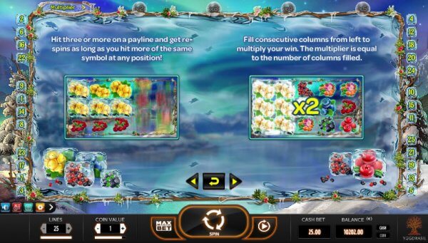 Winter Berries Slot Bonuses