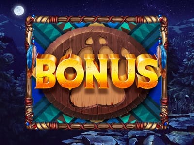 Bonus slot games